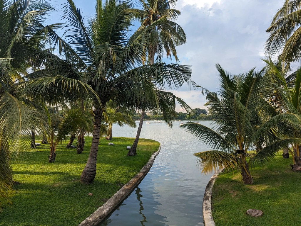Rama IX Park in Bangkok. Man sieht im Hintergrund Tretboote auf dem See und Palmen im Vordergrund.