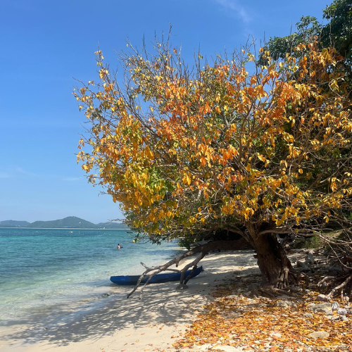 Gut beraten. Besser ankommen.