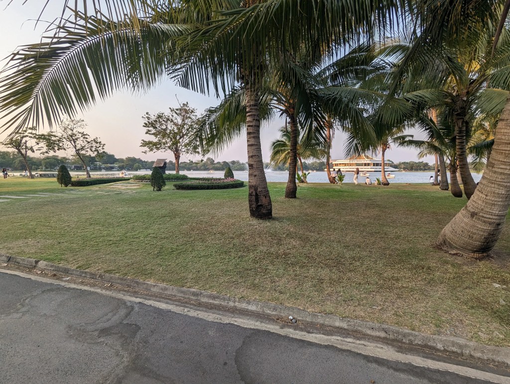 Palmen im Rama IX Park in Bangkok